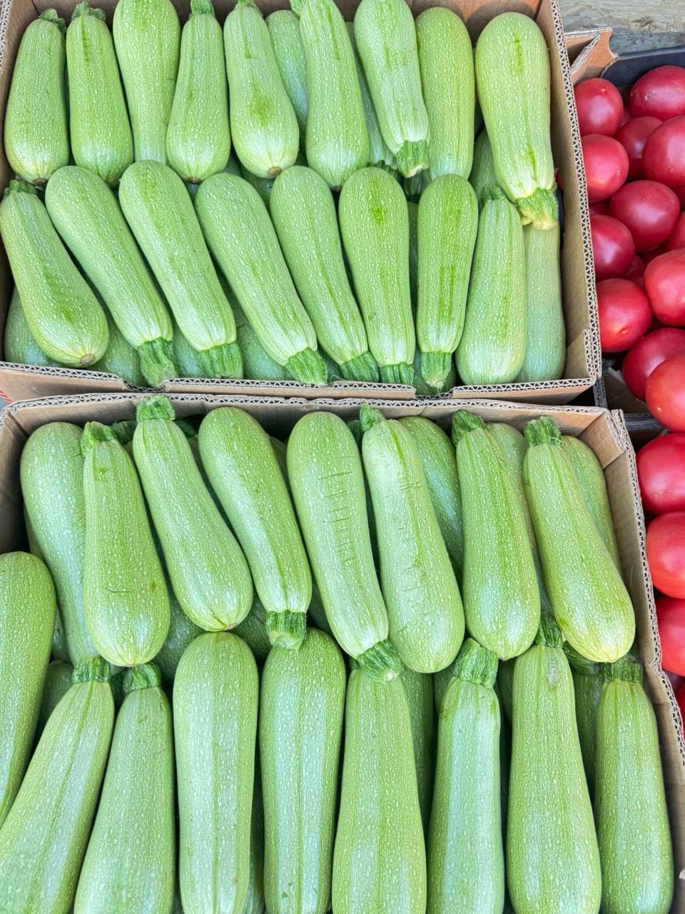 🥒 Dovlecei Fragezi