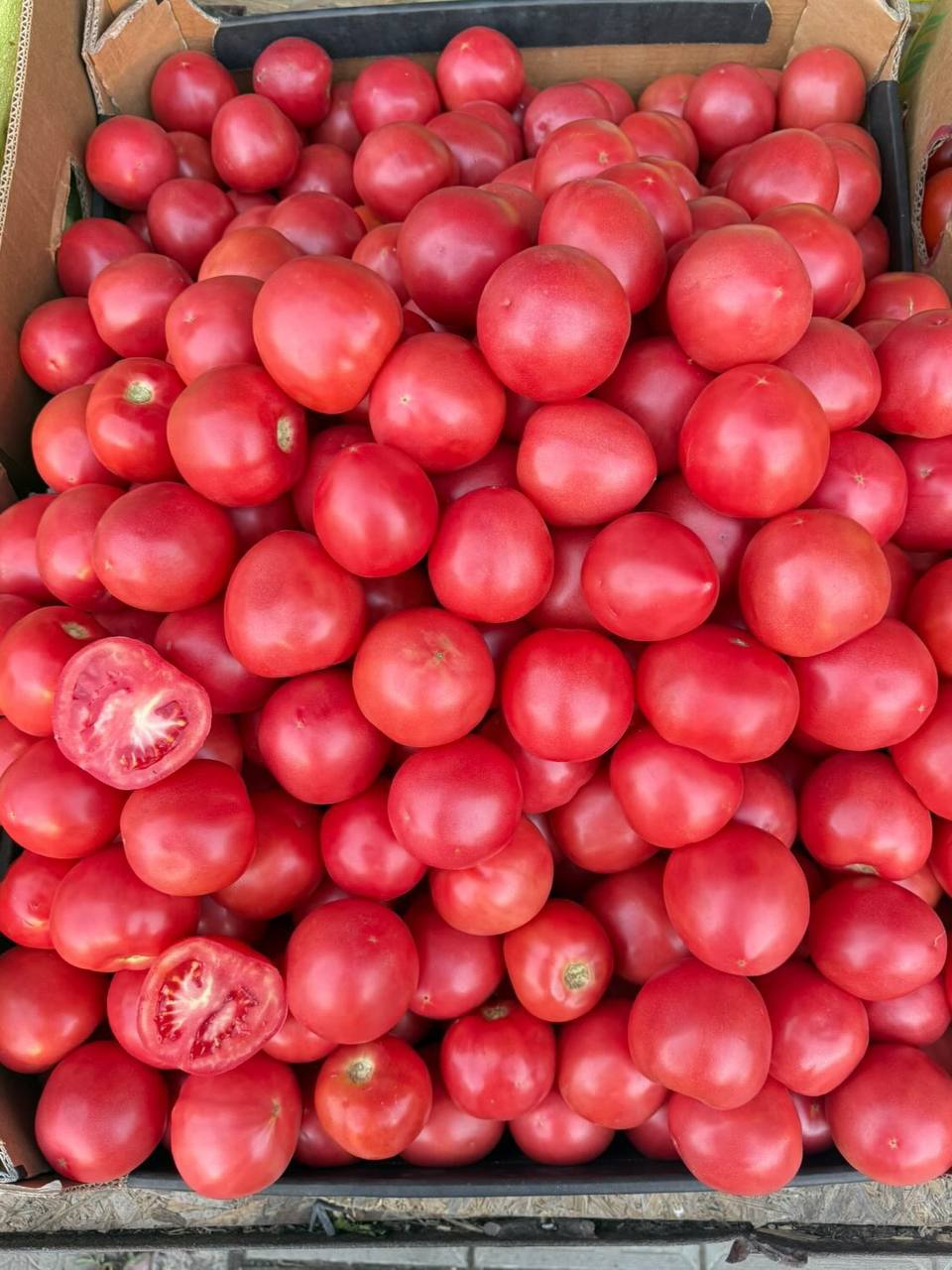 🍅 Roșii Roze Premium
